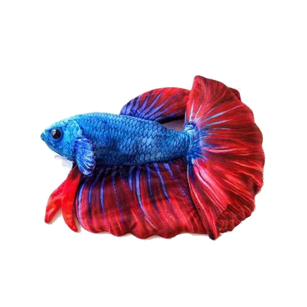 Beta Fish Knuffel